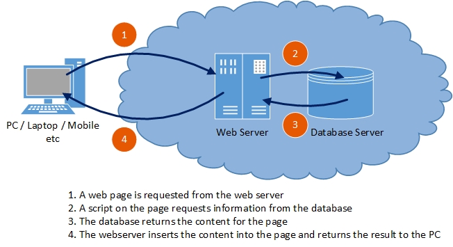 How dynamic websites work